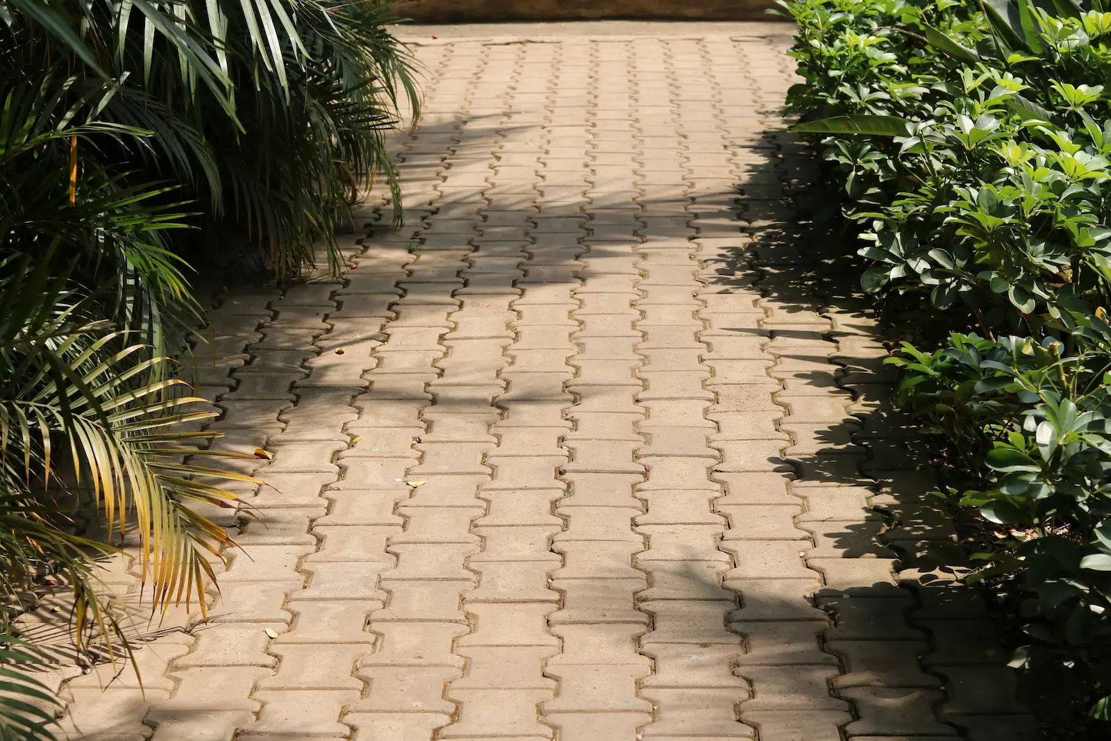 Instalación profesional de pavers y adoquines en Paraguay